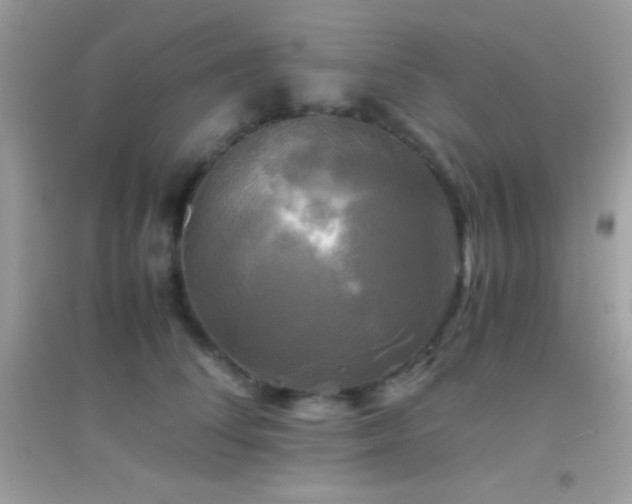 X0000095120708200712071240