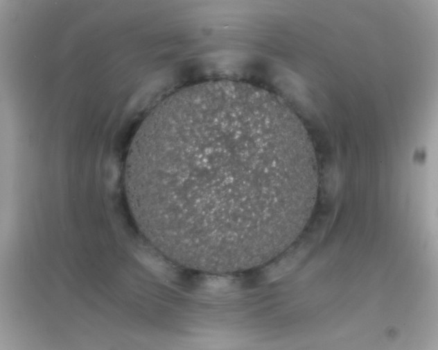 X0000095120709200712071240