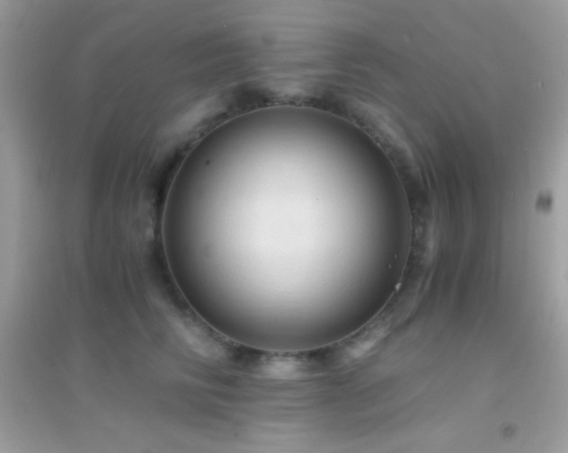 X0000095120710200712071240
