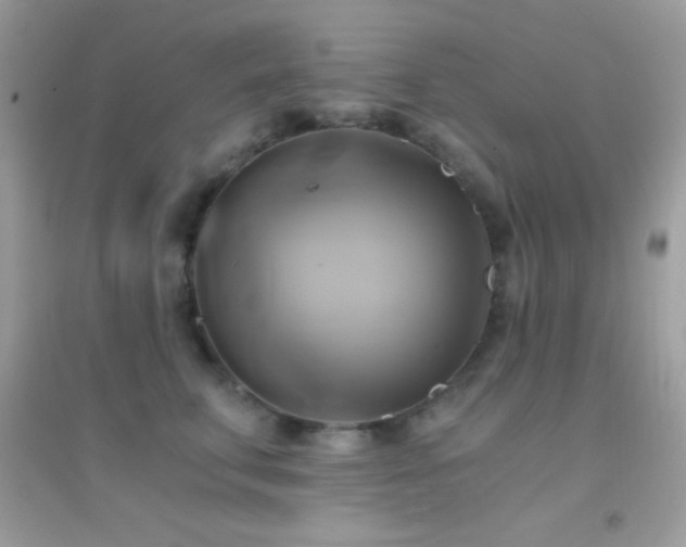 X0000095120711200712071240
