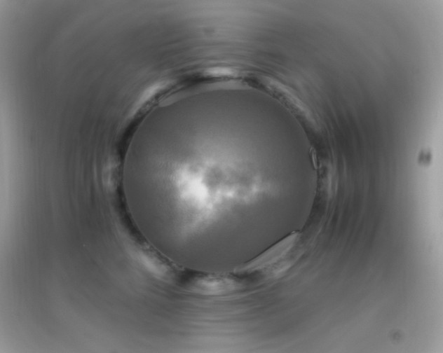 X0000095120712200712071240
