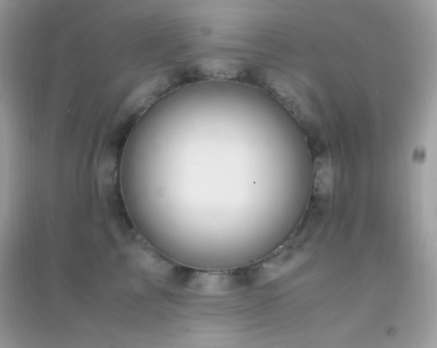 X0000095120713200712071240