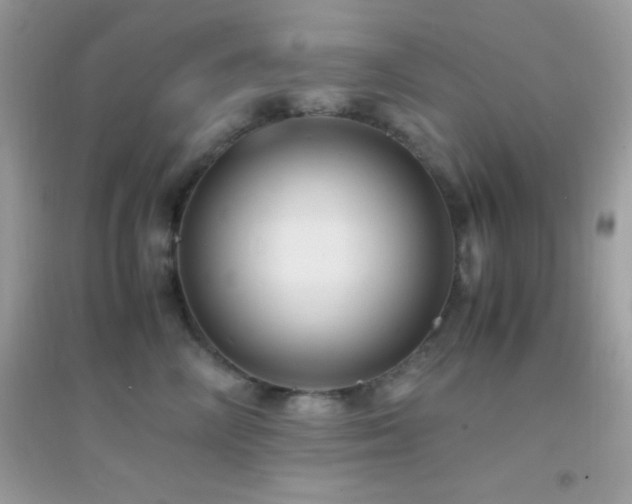X0000095120714200712071240