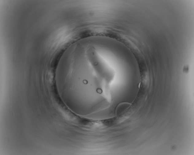 X0000095120715200712071240
