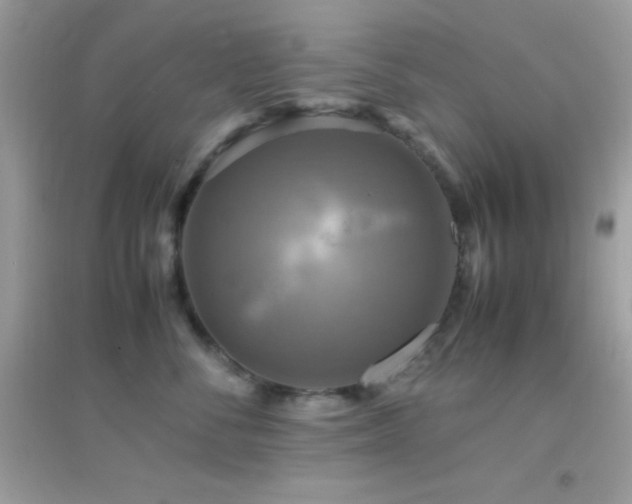 X0000095120716200712071240