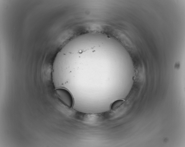 X0000095120717200712071240