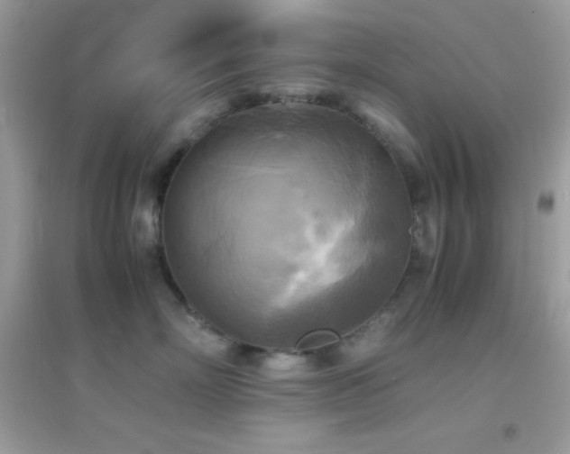 X0000095120718200712071240