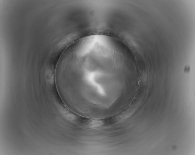X0000095120719200712071240