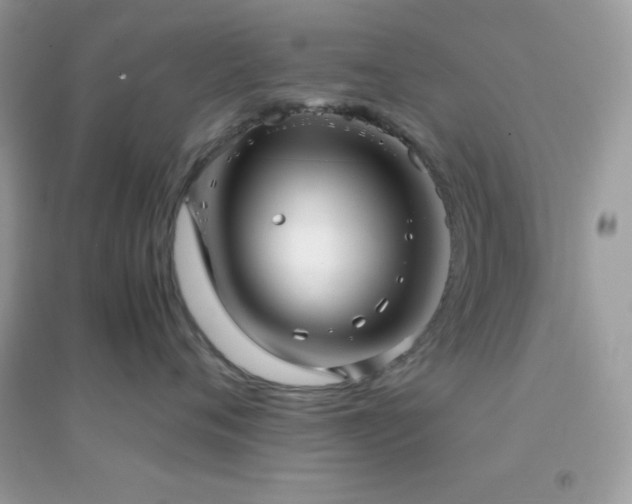 X0000095120720200712071240