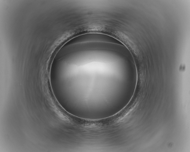 X0000095120721200712071239