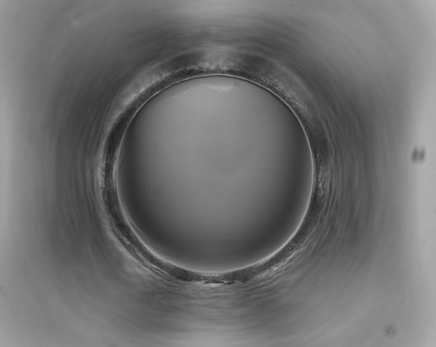 X0000095120722200712071239