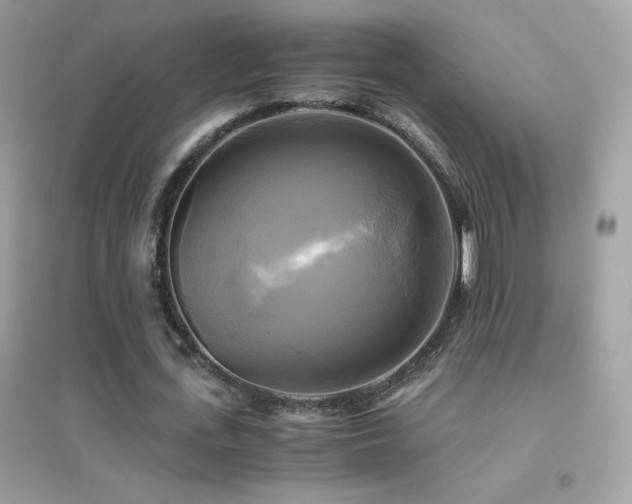 X0000095120723200712071239