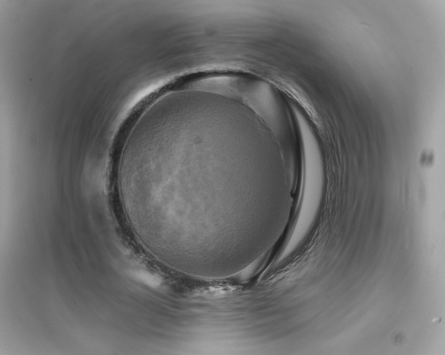 X0000095120724200712071239