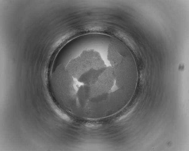 X0000095120725200712071239