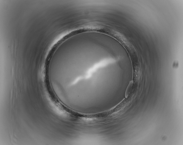 X0000095120726200712071239
