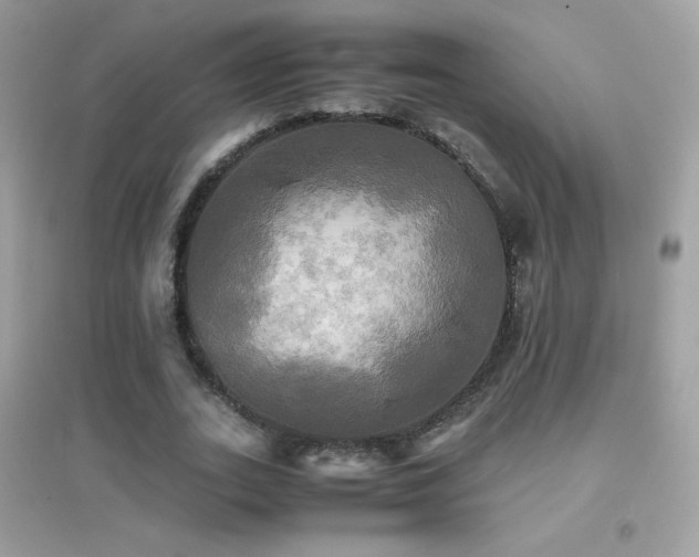 X0000095120727200712071239