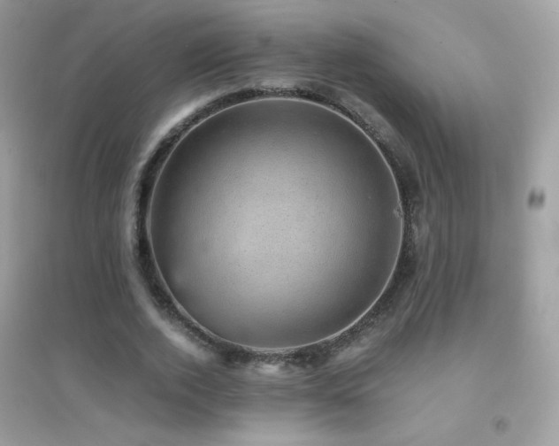 X0000095120728200712071239