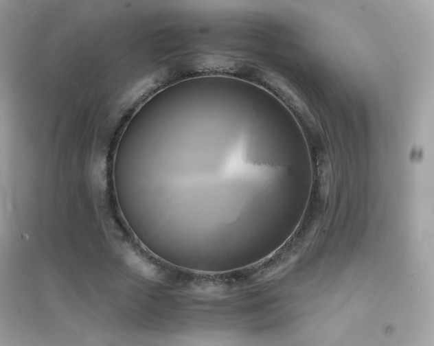 X0000095120729200712071239