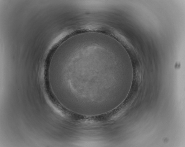 X0000095120730200712071239