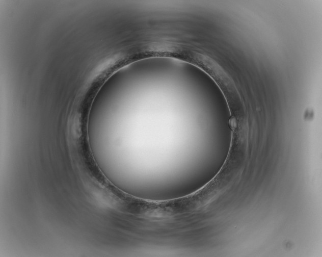 X0000095120731200712071239