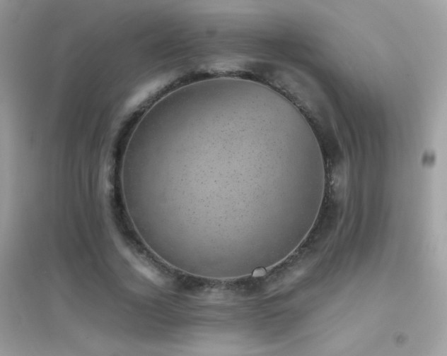 X0000095120732200712071239
