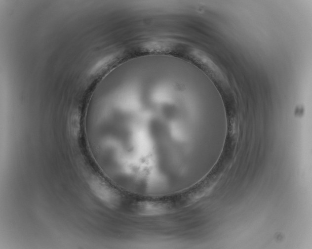 X0000095120733200712071239