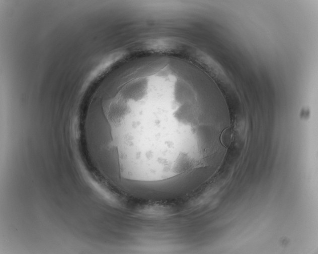 X0000095120734200712071239