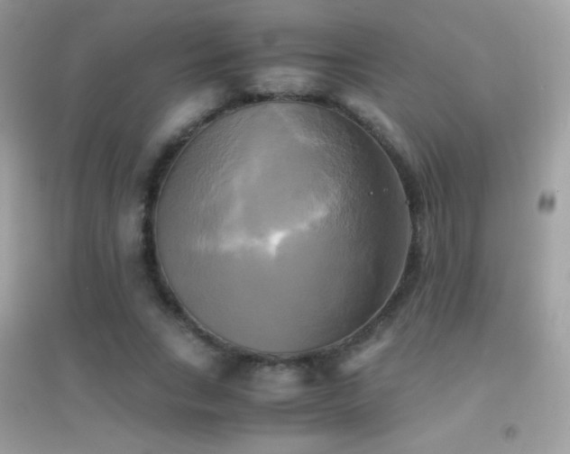 X0000095120735200712071239