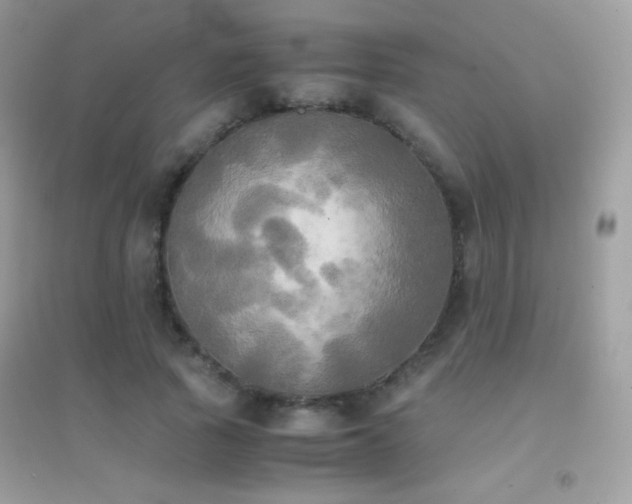 X0000095120737200712071239
