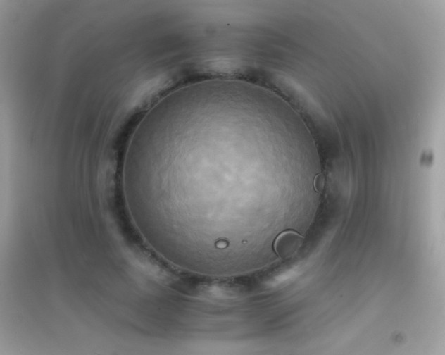 X0000095120739200712071239
