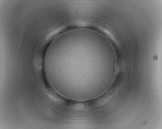 X0000095120740200712071239