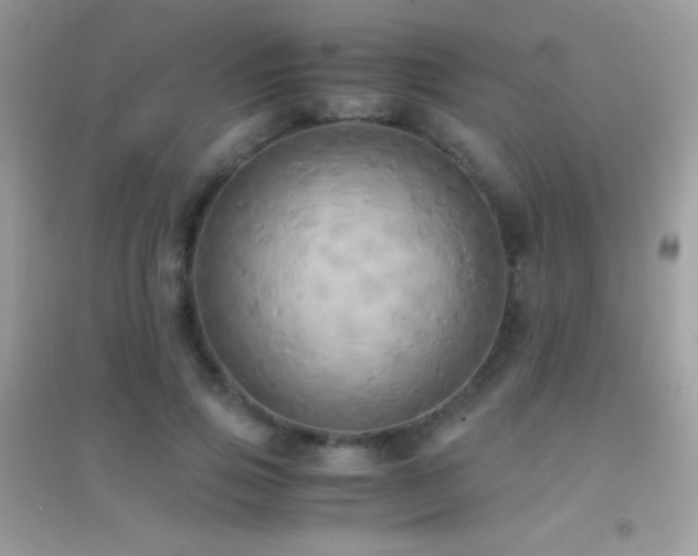X0000095120741200712071239