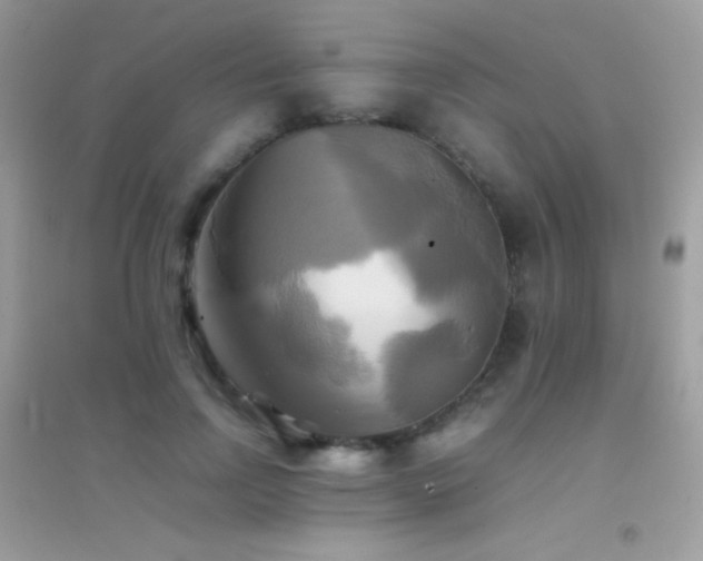 X0000095120742200712071239