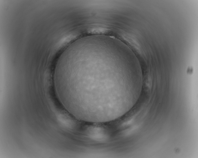 X0000095120743200712071239