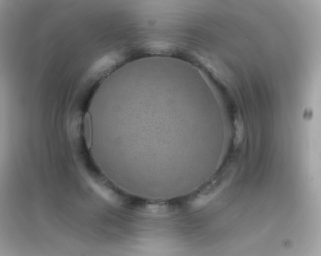 X0000095120744200712071239