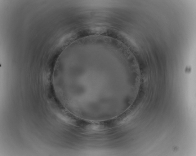 X0000095120745200712071239