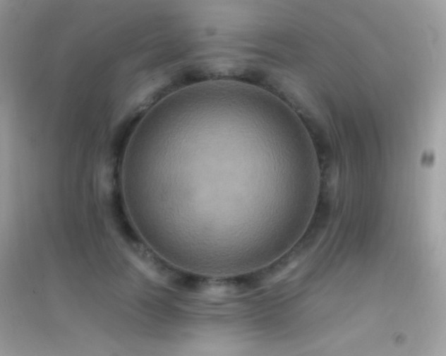 X0000095120746200712071239