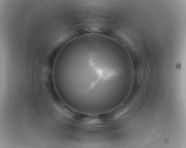 X0000095120747200712071239