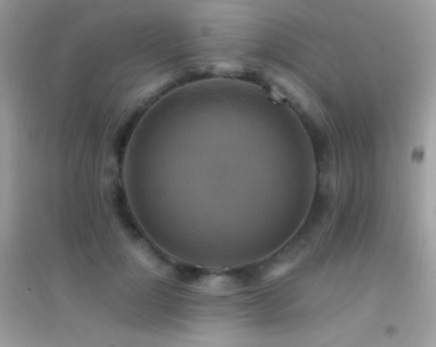 X0000095120748200712071239