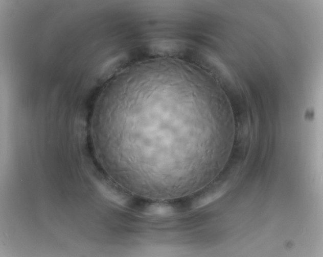 X0000095120749200712071239