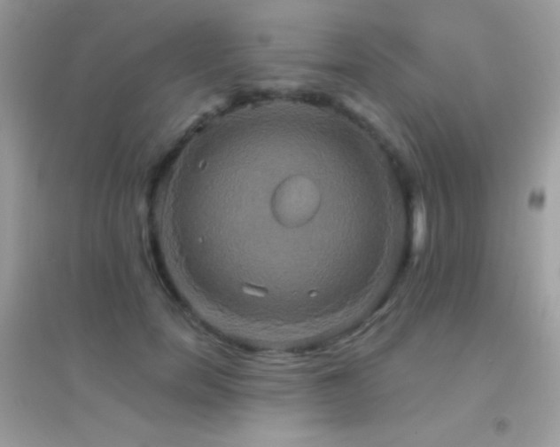 X0000095120750200712071239