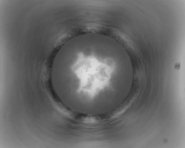 X0000095120751200712071239