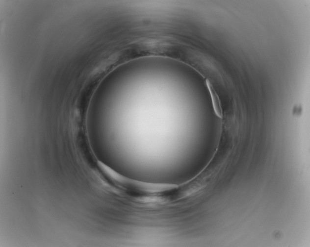 X0000095120752200712071240