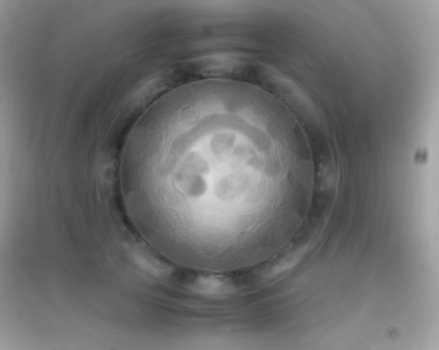 X0000095120753200712071240