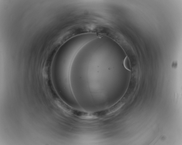 X0000095120754200712071240