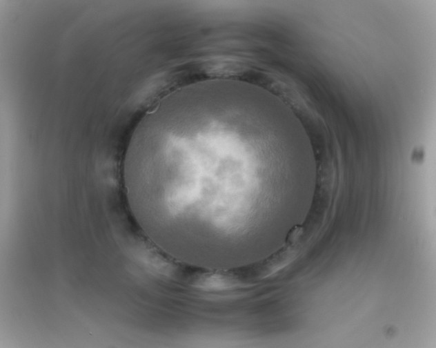 X0000095120755200712071240