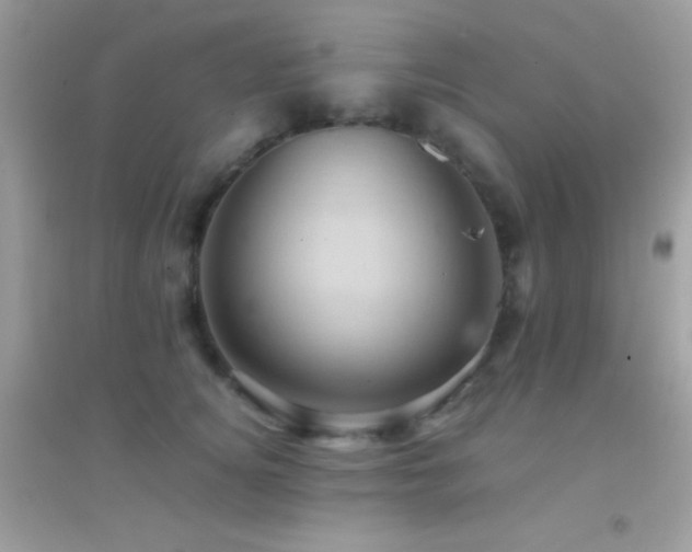 X0000095120756200712071240