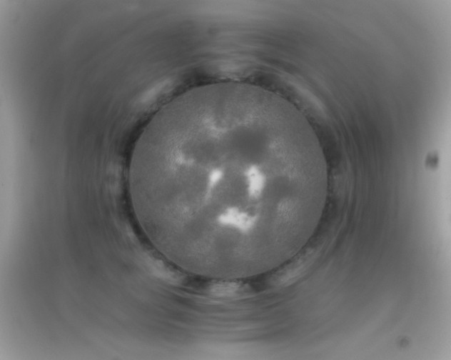 X0000095120757200712071240