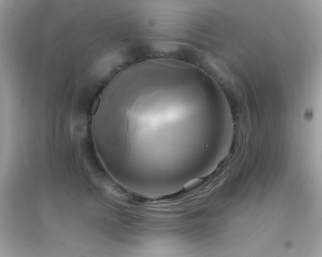 X0000095120758200712071240