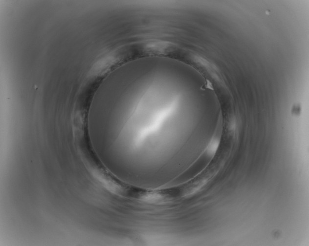 X0000095120759200712071240